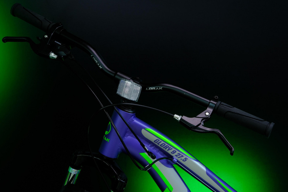 LORAK GLORY 9 Матовый Фиолетовый рама 19 (на рост 171-182)